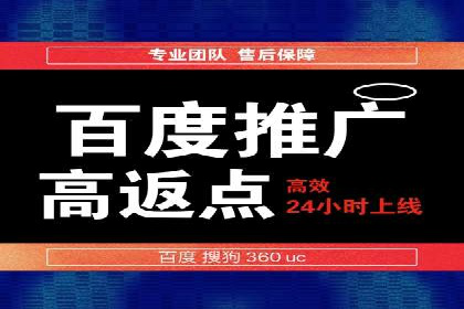 某公司通过百度竞价实现业务快速增长的案例
